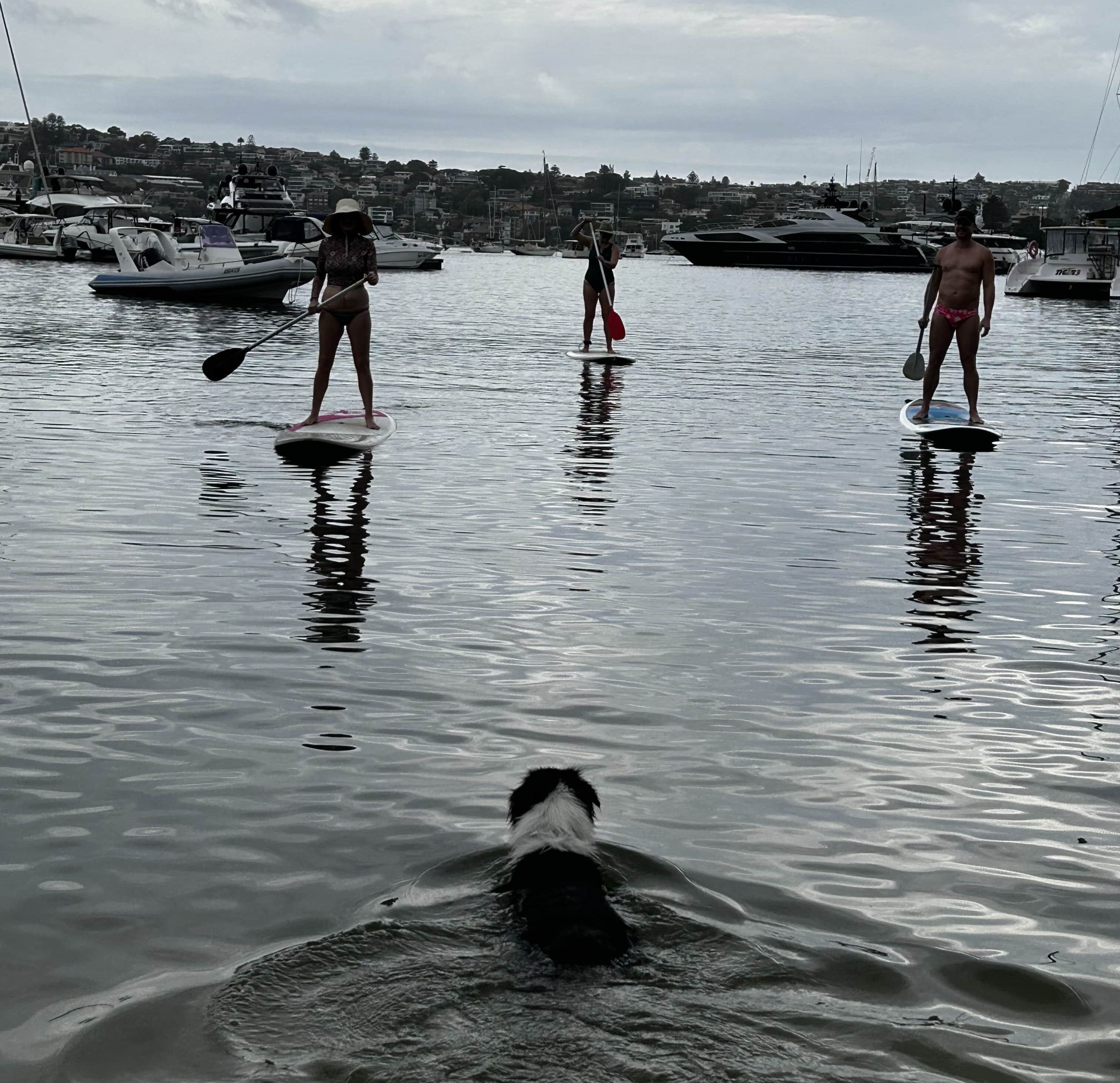 Paddle boarding Member social, December 2023